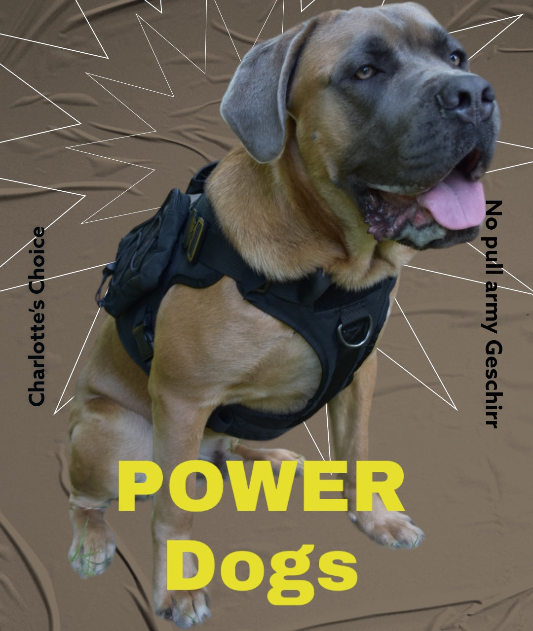 Alltrail CC-K9 Eco light Hundegeschirr - schwarz