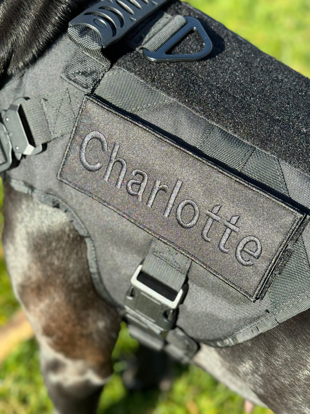 Alltrail CC-K9 Eco light Hundegeschirr - schwarz
