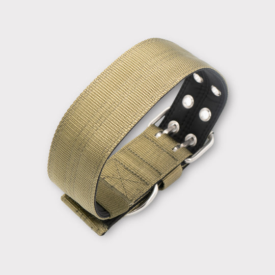 Ringo Halsband 5cm breit (38 cm-71 cm) - army-grün