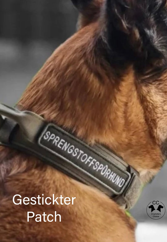 Heavy Duty 7 cm breit mit 2 taktischen Schnallen (41 cm-65 cm) mit Griff