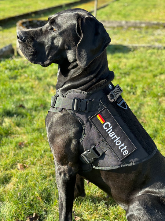 Alltrail CC-K9 Eco light Hundegeschirr - schwarz