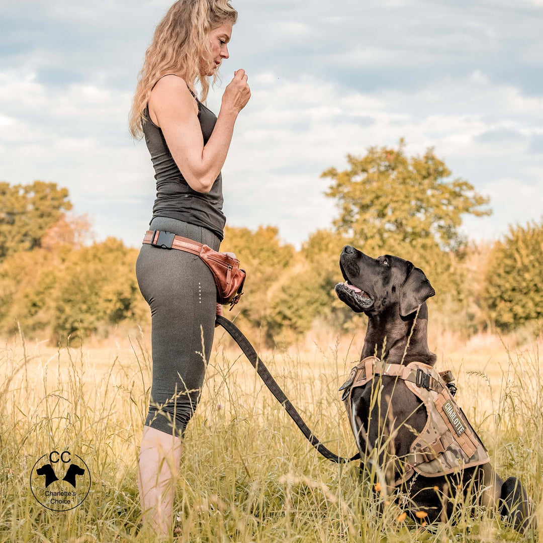 Alltrail CC-K9 Eco light Hundegeschirr - army-grün SALE % M & XL