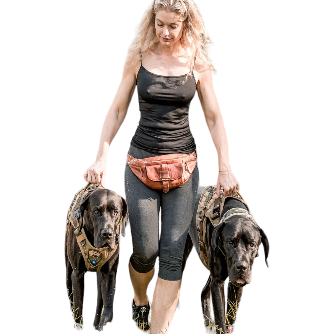 Alltrail CC-K9 Eco light Hundegeschirr - schwarz