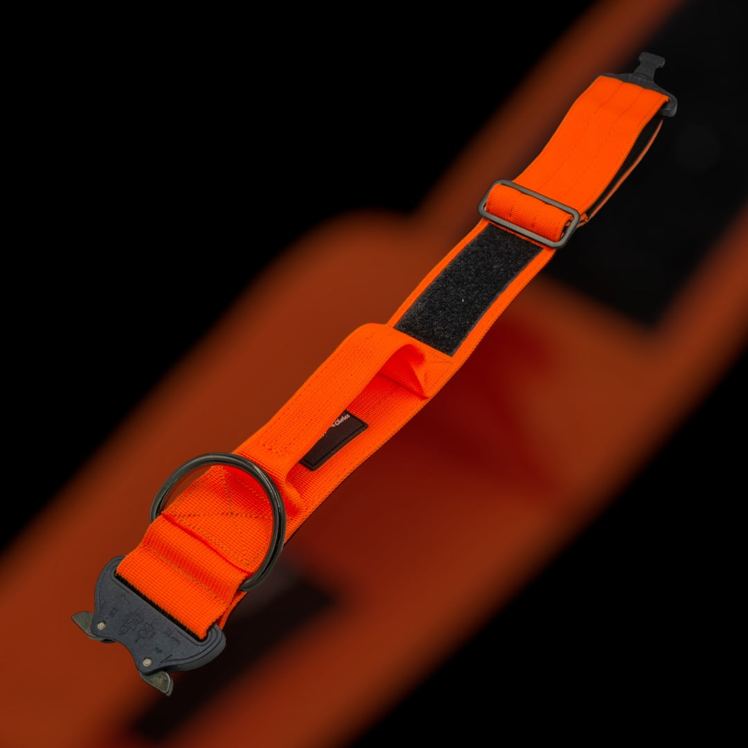 On Duty Cobra Haltegriff Halsband 5 cm für grosse Hunde (41 cm-78 cm)