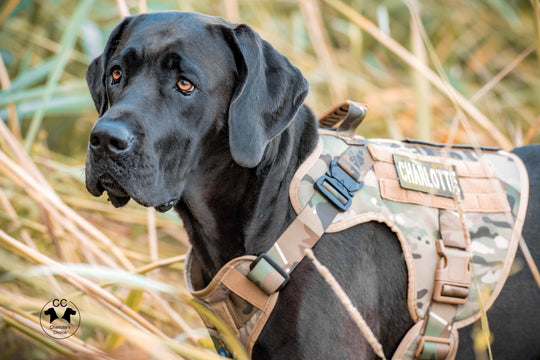 Alltrail CC-K9 Eco light Hundegeschirr - army-grün SALE % M & XL