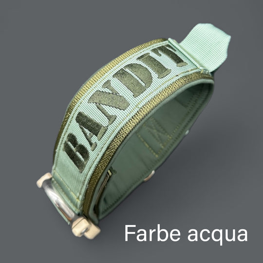4 cm breite Leinen mit Frog 360 personalisiert