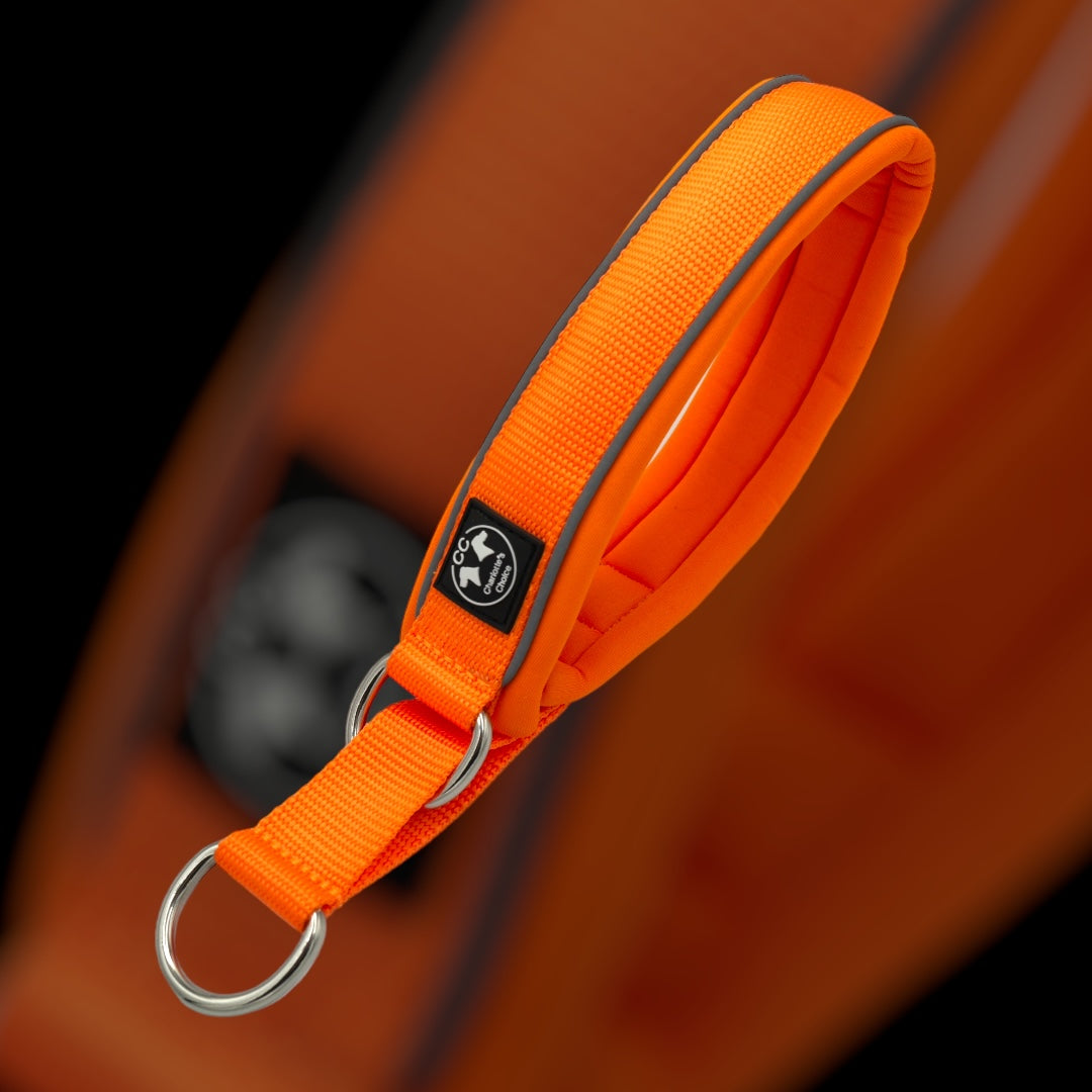 Halsband für grosse Hunde