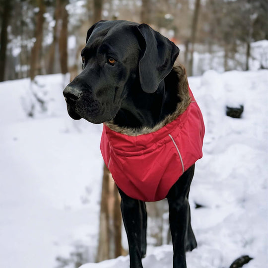 Warmer Mantel Hund gross