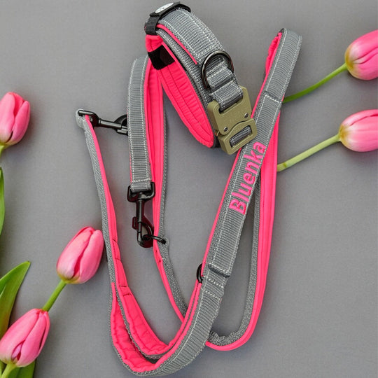 2.5 cm Leine personalisiert mit Standard-Karabiner, Frog Cable oder Frog 360