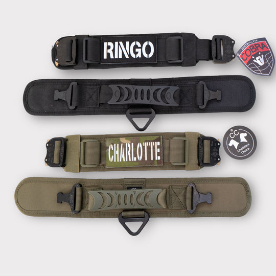 halsband personalisiert breit für grosse Hunde taktisch