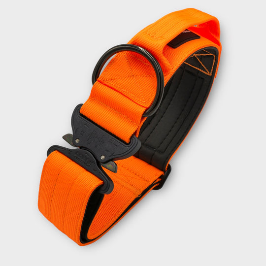 On Duty Cobra Haltegriff Halsband 5 cm für grosse Hunde (41 cm-78 cm)