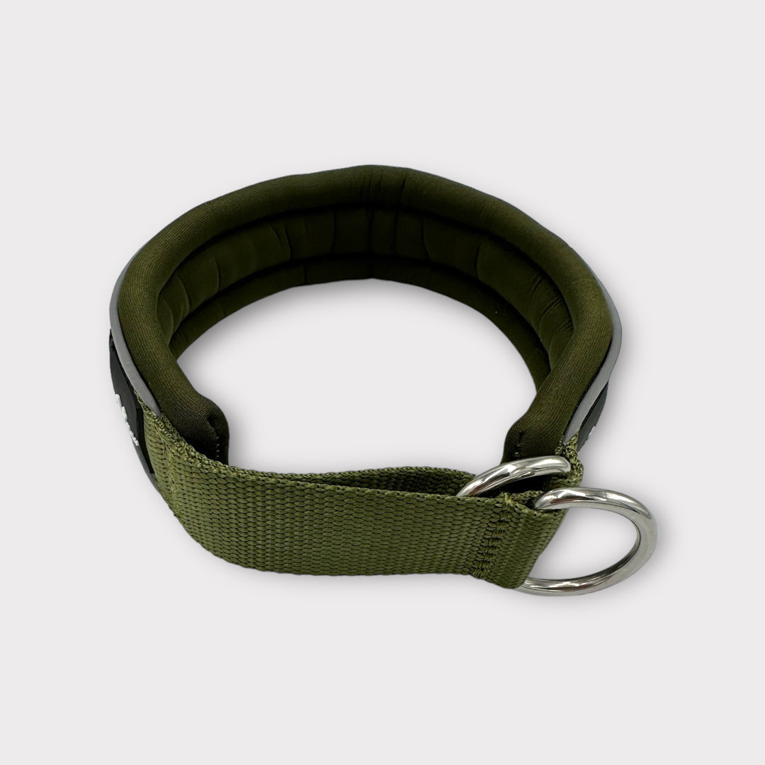 Hundeschule Halsband