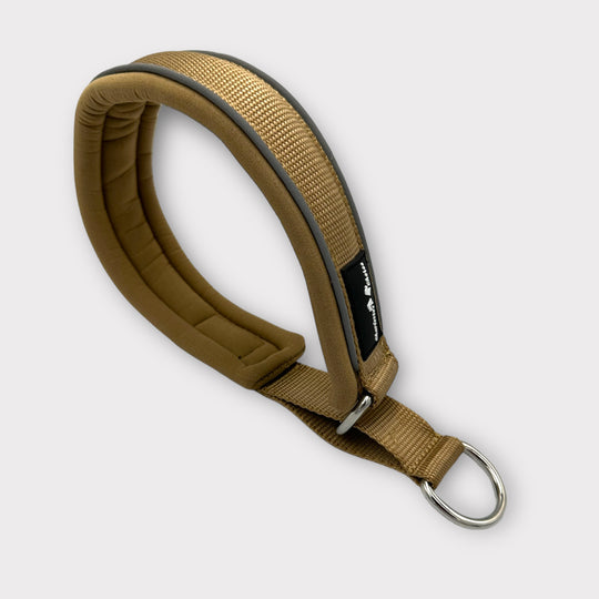 Halsband an der Leine üben