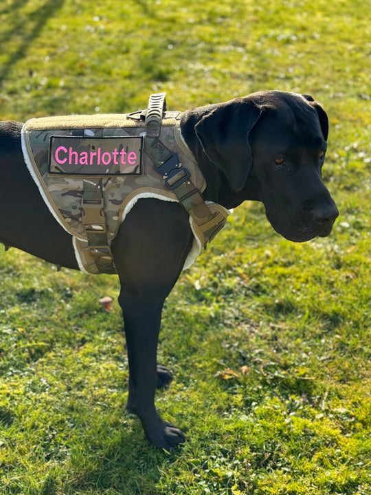 Alltrail CC-K9 Eco light Hundegeschirr  - camouflage nur noch Grösse XL