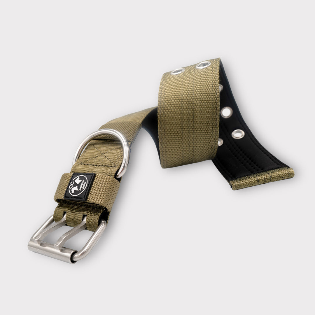 Ringo Halsband 5cm breit (38 cm-71 cm) - army-grün