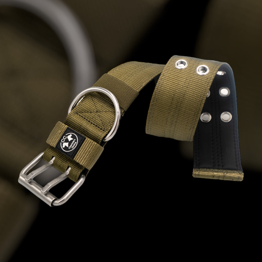 Ringo Halsband 5cm breit (38 cm-71 cm) - army-grün