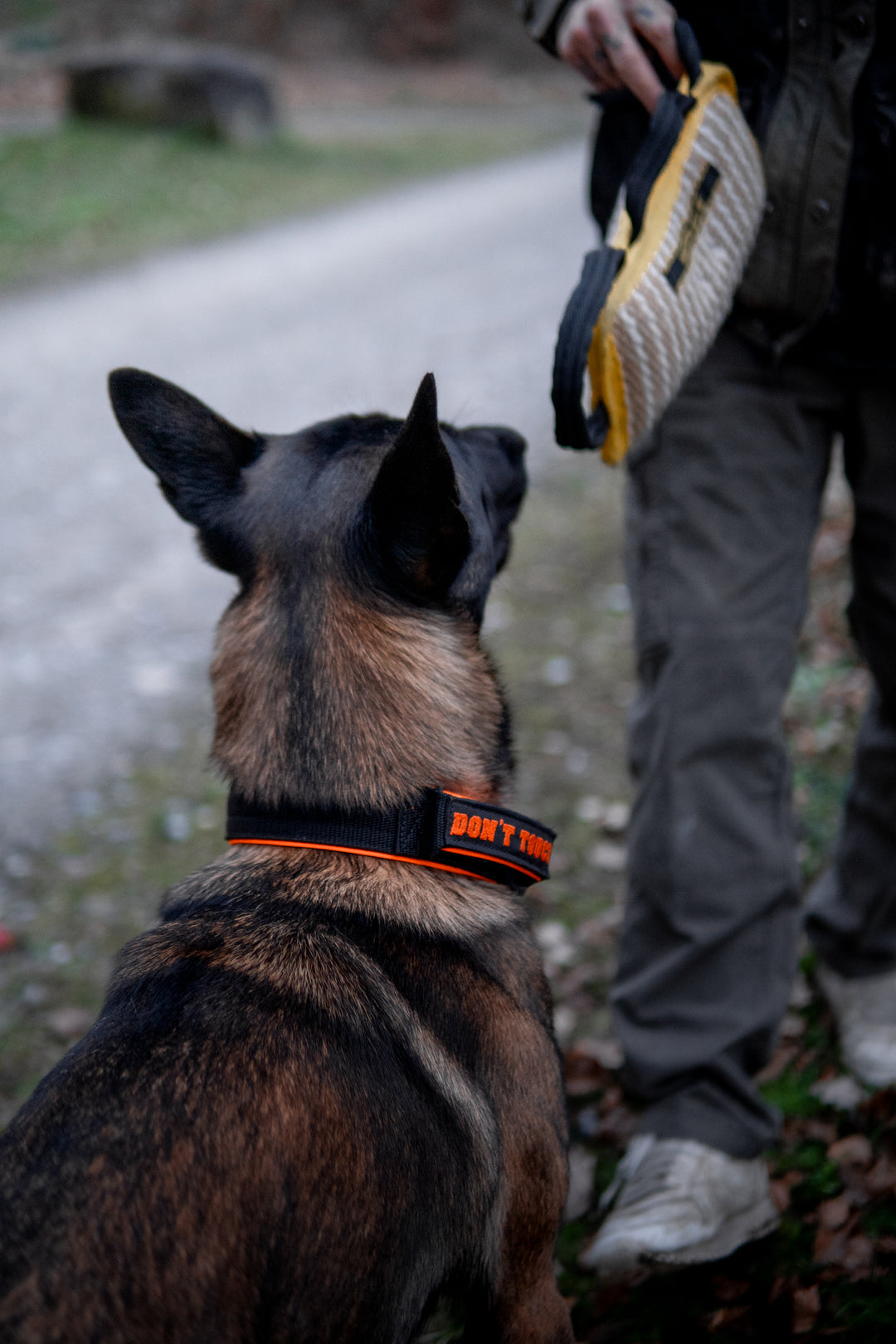 On Duty Halsband Don't Touch 4 cm breit (45 cm-60 cm) - schwarz/orange