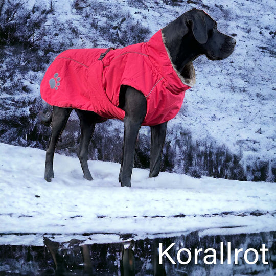 Hunde Wintermantel rot