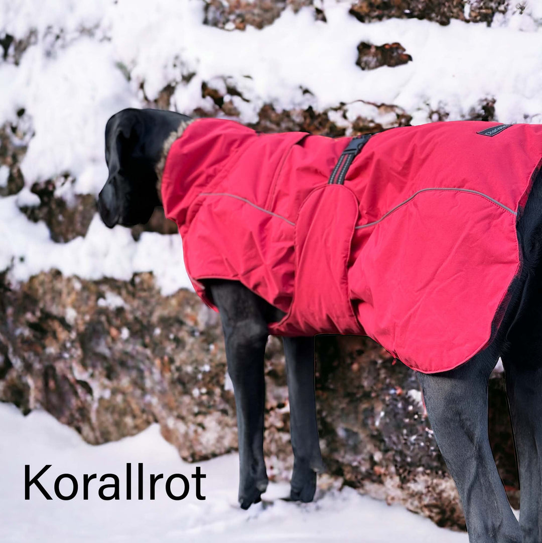 Hundemantel Dogge