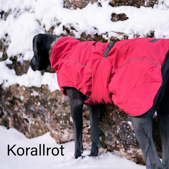 Hundemantel Dogge