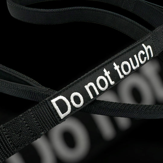 SALE % Do not touch Leine Kong Frog 360 2.5 cm breit - 100 kg+