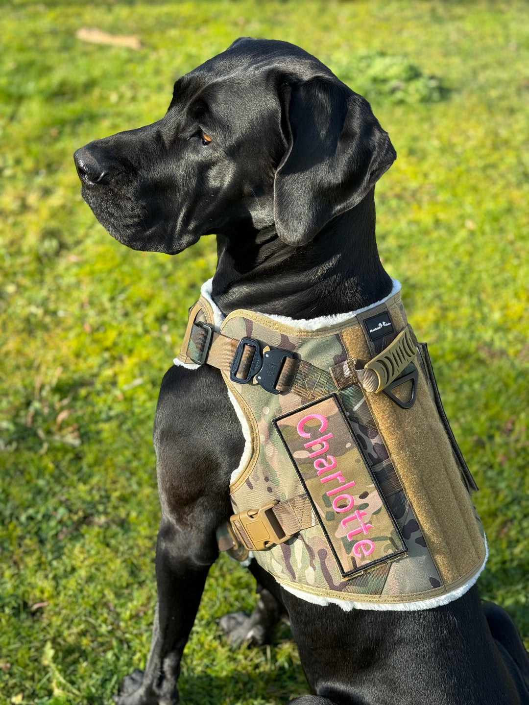 Alltrail CC-K9 Eco light Hundegeschirr  - camouflage nur noch Grösse XL