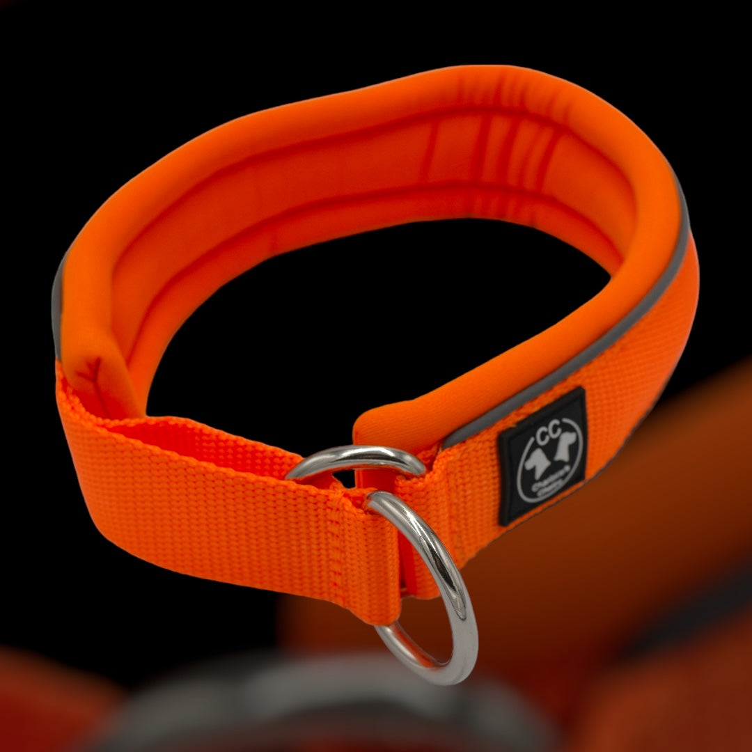 Hundetrainer Halsband
