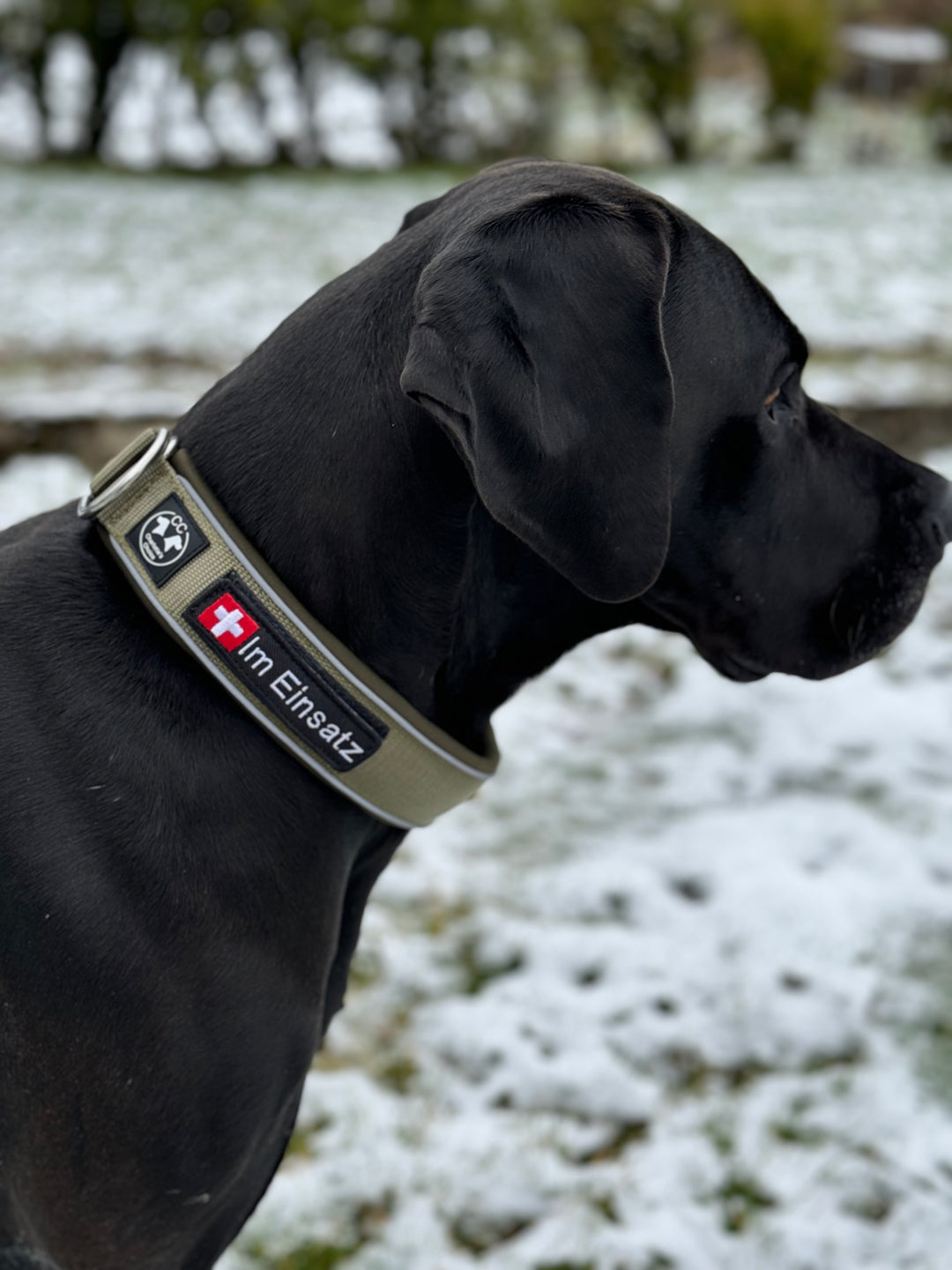 Comfo-Zugstopp 5 cm breit (41 cm-74 cm) personalisierbar - army-grün
