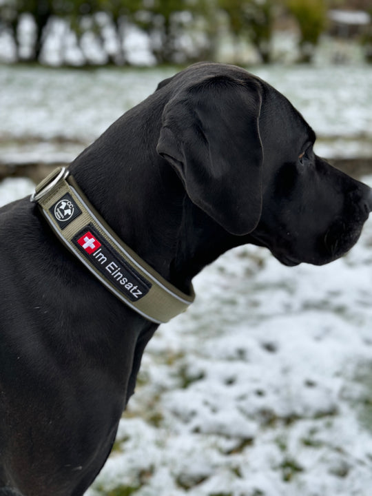 Comfo-Zugstopp 5 cm breit (41 cm-74 cm) personalisierbar - army-grün