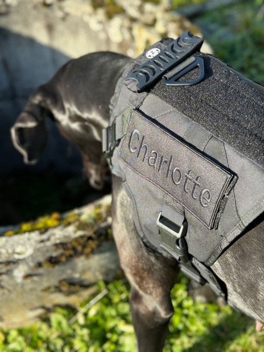 Alltrail CC-K9 Eco light Hundegeschirr - schwarz