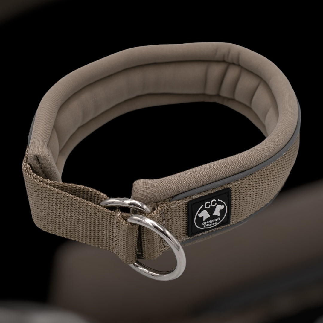 Zugstopp Halsband grosse Hunde