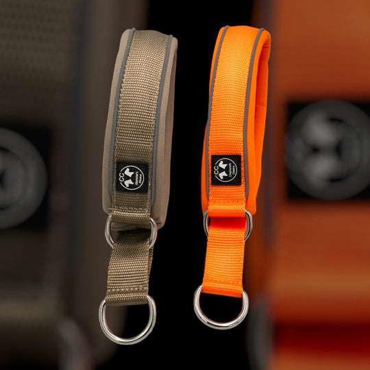 Halsband Malinois
