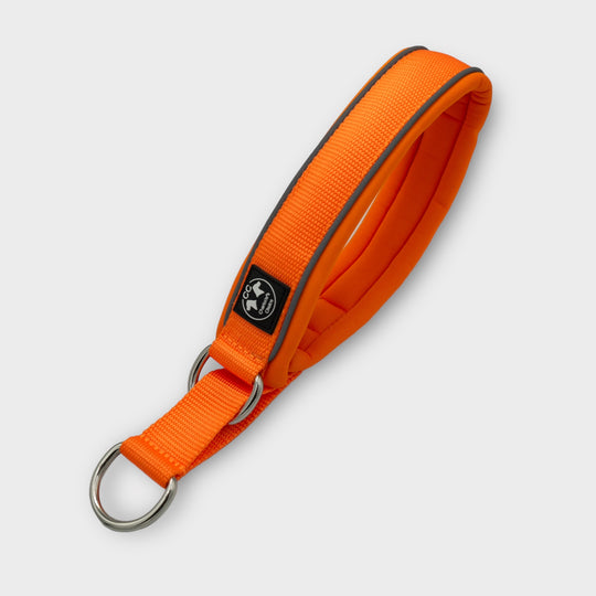 Halsband Signal orange