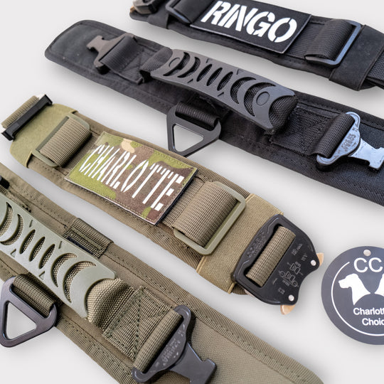 halsband robust mit namen