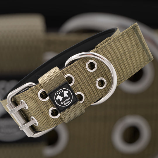 Ringo Halsband 5cm breit (38 cm-71 cm) - army-grün