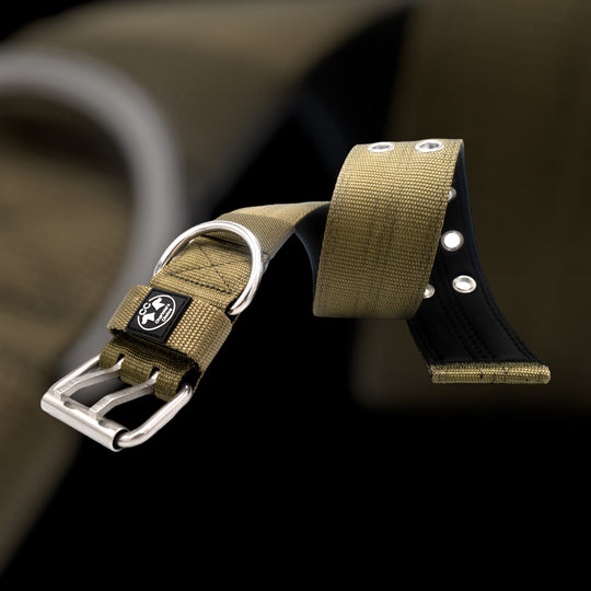 Ringo Halsband 5cm breit (38 cm-71 cm) - army-grün
