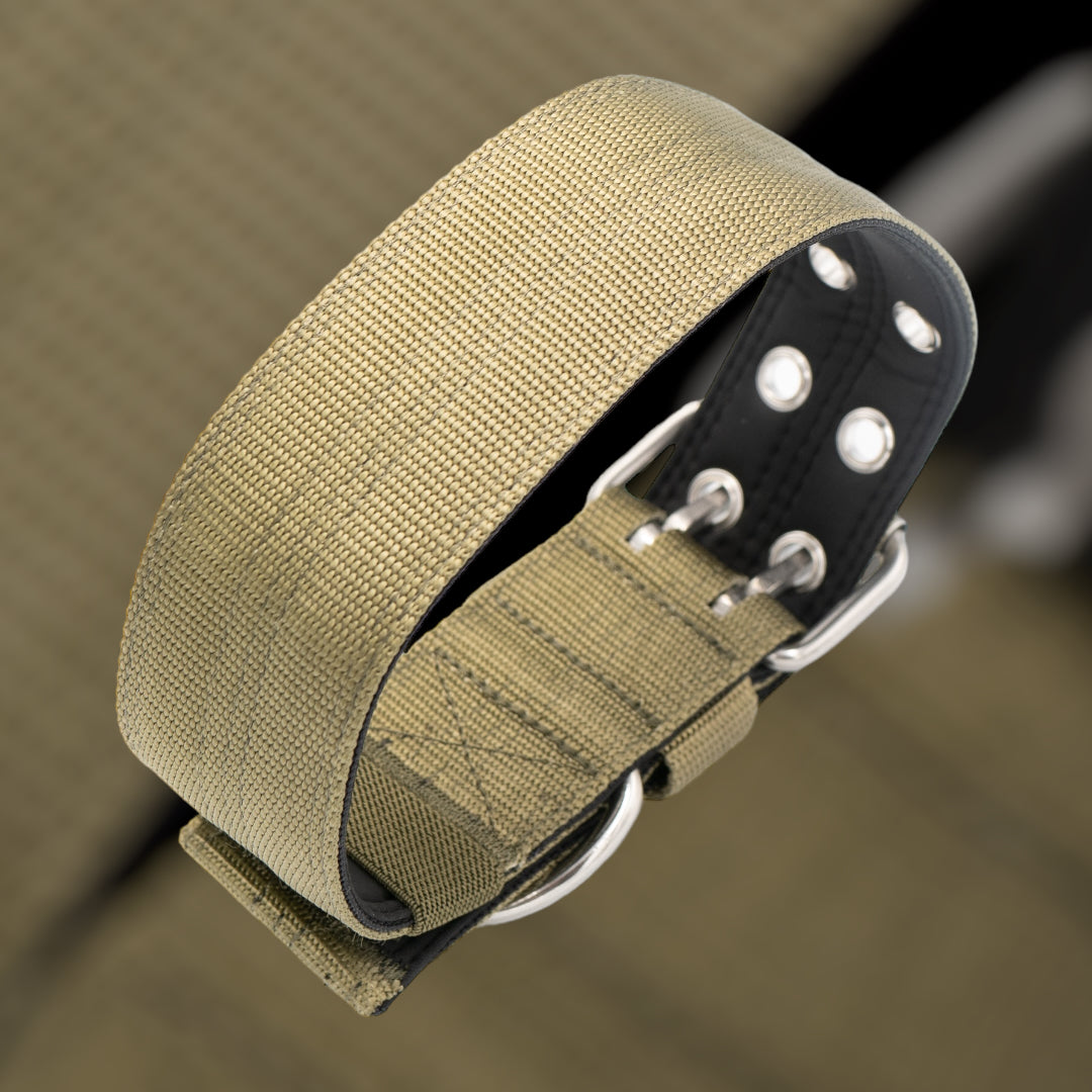 Ringo Halsband 5cm breit (38 cm-71 cm) - army-grün
