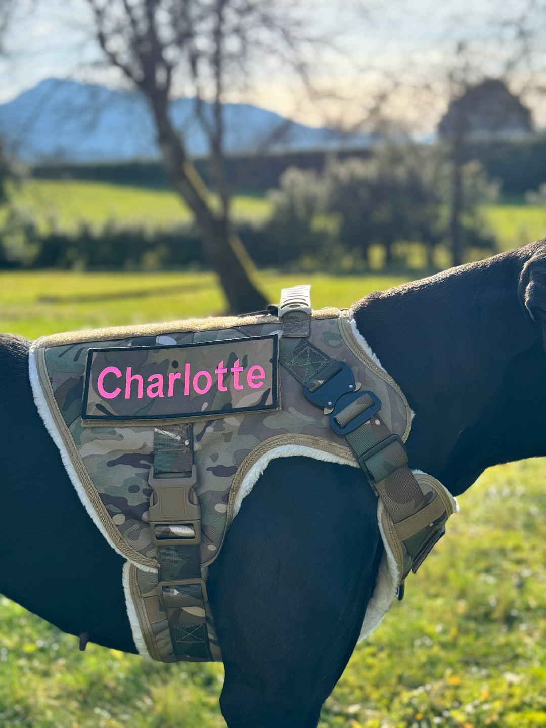 Alltrail CC-K9 Eco light Hundegeschirr  - camouflage nur noch Grösse XL