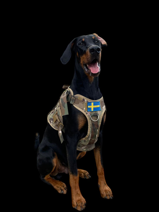 Alltrail CC-K9 Eco light Hundegeschirr  - camouflage nur noch Grösse XL
