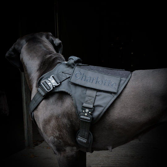 Anti-zieh Geschirr grosse HUnde