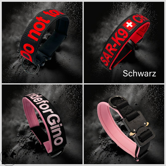 2.5 cm Leine personalisiert mit Standard-Karabiner, Frog Cable oder Frog 360