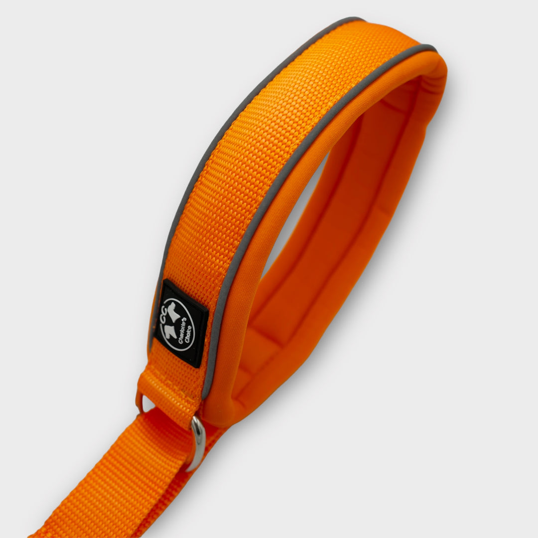 Halsband Hundetraining Leine