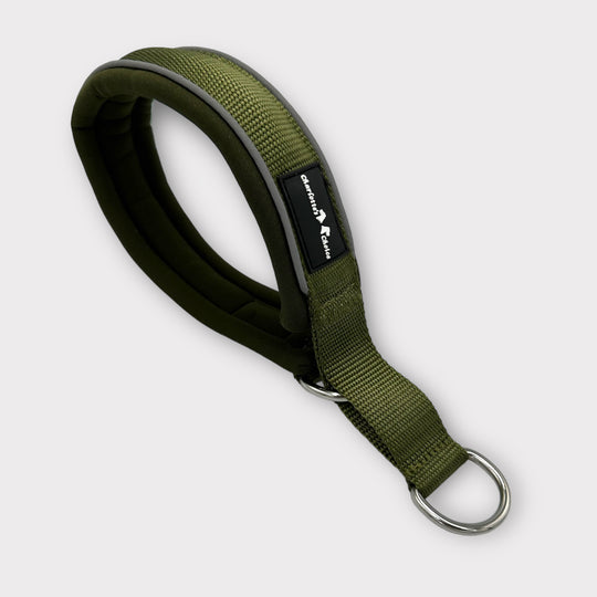 Halsband Training