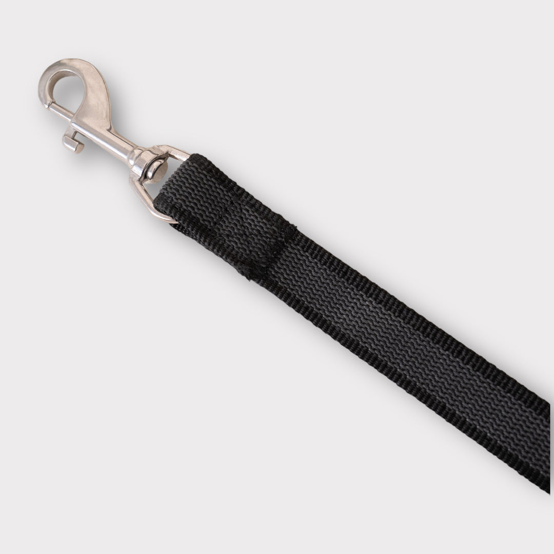 2.5 cm Breite gummierte Leine 2.2 m lang, mit Frog 360 oder Edelstahlkarabiner, verstellbar