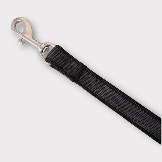 2.5 cm Breite gummierte Leine 2.2 m lang, mit Frog 360 oder Edelstahlkarabiner, verstellbar