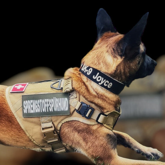 Alltrail CC-K9 Eco light Hundegeschirr - army-grün SALE % M & XL
