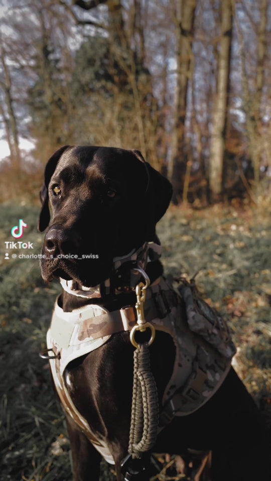 Alltrail CC-K9 Eco light Hundegeschirr - khaki SALE % L und XL