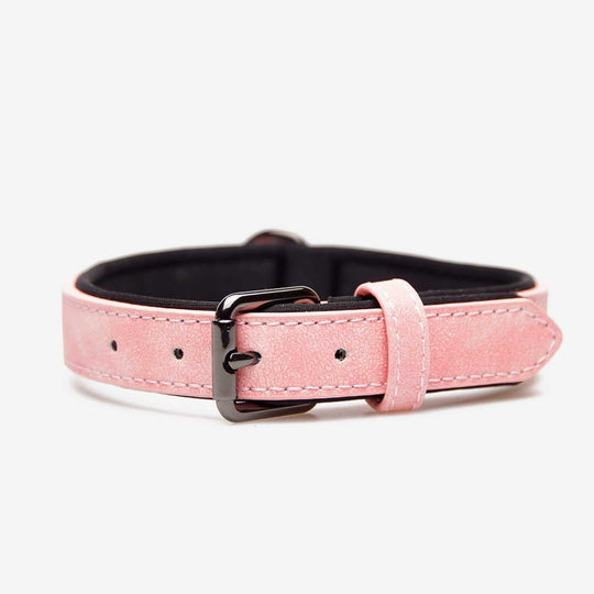 SpaceTec-Reflektorhalsband von Charlotte's Choice (48 cm-58 cm) - pink