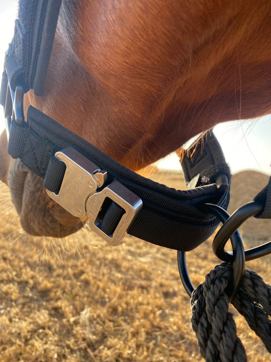 Polohalfter schwarz mit Cobra Schnalle