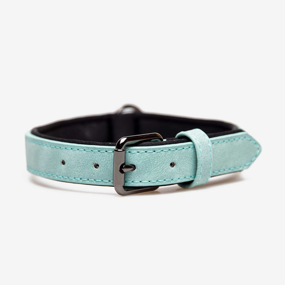 halsband babyblau hellblau aus Leder für grossen Hund